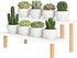2 Tiered White Table Top Plant Stand, 15mm Thick Wooden Desktop Succulent