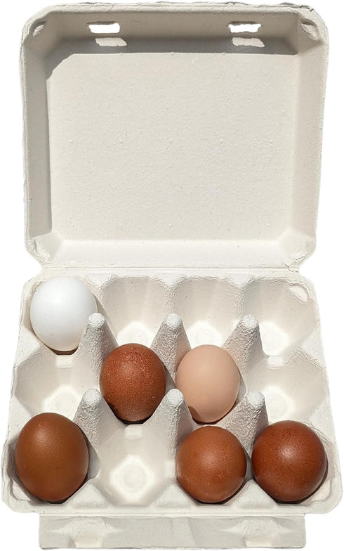 12 3x4 Packaging 25 Pack Vintage Egg Cartons for Large Eggs Classic Layout Durable Recycled Cardboard Farmhouse Style