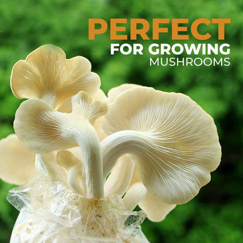 Outward Creations 40 Pack, 13" 4 4 0.2 Mushroom Grow and Spawn Bags - Extra Thick Polypropylene Material, Tear