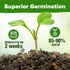 Pack 2,500+ HOME GROWN Organic Herb Seeds Variety - Non GMO, Heirloom High-Germinating Heirloom Seeds for Planting