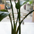 5PCS Set, Plant Stem Support - Durable Monstera Stabilizer Grapple Holder, Unique Design for Climbing Plants, Turtle