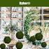 BYHER Handmade Natural Green Moss Decorative Ball, Set of 6 (3.5")