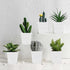 24Pcs 3" Anyumocz Square Plastic Plant Pots,White Nursery Pots with Saucers,Seedling Nursery Transplanting Planter