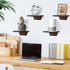 Room,Bedroom,Kitchen,Office,Pine,8x6 Inch,2 Pack(Walnut) PHOENANCEE Small Floating Shelves,Trapezoid Wall Shelf