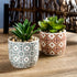 Artificial Plants Succulent Flowers in Ceramic Planter, 2 Pack Small Fake Plants for Home Office Desk Decor