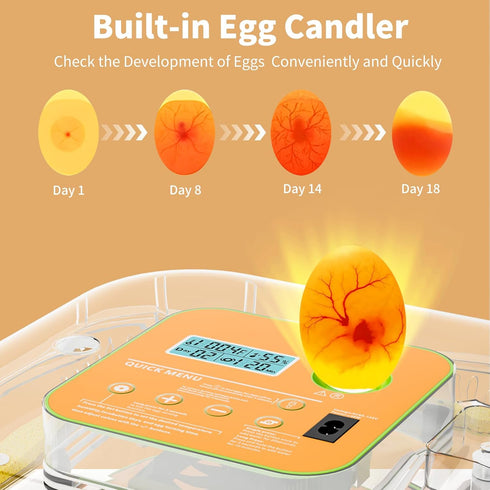 12 Incubator for Hatching Eggs, Temperature and Humidity Control, Automatic and Adjustable Egg Turning & Incubation