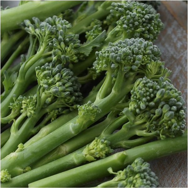 Broccoli Green Sprouting Calabrese 500 Seeds (Brassica oleracea) Non GMO - Heirloom