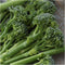 Broccoli Green Sprouting Calabrese 500 Seeds (Brassica oleracea) Non GMO - Heirloom
