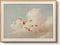 VIYYIEA Framed Moody Wall Art Butterfly Wall Decor, Dreamy Farmhouse Canvas Painting,