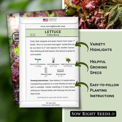 Packet (1) Sow Right Seeds - Lolla Rosa Lettuce Seed for Planting - Non-GMO Heirloom with Instructions to Plant a Home