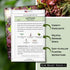 Packet (1) Sow Right Seeds - Lolla Rosa Lettuce Seed for Planting - Non-GMO Heirloom with Instructions to Plant a Home