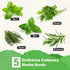 5 Meekear Herb Seeds Garden Starter Kit with Complete Planting Kit & Wooden Flower Box, Growing into Basil, Parsley
