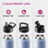 FineDine 25 Oz Triple Walled Insulated Water Bottles with Straw - Stainless Steel Metal Bottle with 3 Leak Proof Lids -