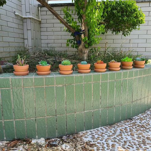 Yishang 3.5 Inch Shallow Terra Cotta Pots with Saucer/Tray - Ceramic Clay Planter for Succulent & Cactus Nursery