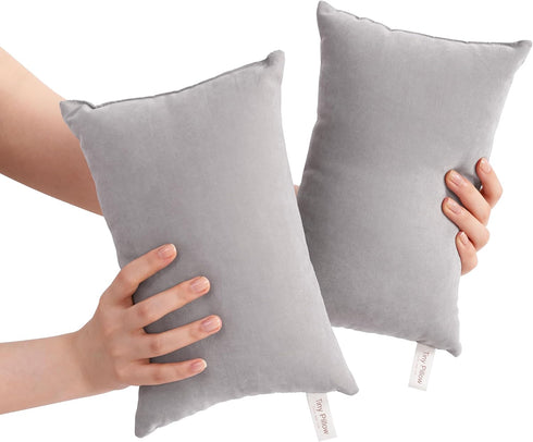 BEDSUM 2 Pack Tiny Pillows, 11"x7" Microfiber Mini Pillow for Travel, Pets,