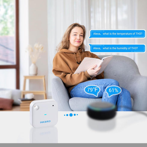 IBS-TH3 1 INKBIRD WiFi Thermometer Hygrometer Monitor, Smart Temperature Humidity Sensor with App Notification Alert