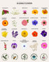 60 Tactiko Survival Medicinal & Survival Seed Kit Heirloom Non-GMO USA Grown Seeds for Vegetables, Herbs & Edible
