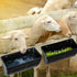 3 Pack 4 Hanging Chicken Feeder Waterer Trough Quart, Goat Feeding Supplies, Coop Fence Feeder, Feed Bucket & Water