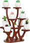 Jotsport 9 Pots Mini Succulent Stand Windowsill Small Plant Stand Multi Layers