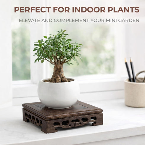 5.5"5.5" Wooden Display Square Stand Base Wood Plant Stand, Pedestal Stand, Tabletop Plant Stand, Risers Display