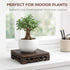 5.5"5.5" Wooden Display Square Stand Base Wood Plant Stand, Pedestal Stand, Tabletop Plant Stand, Risers Display