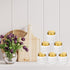 Suclain 50 Pcs 2 oz Honeycomb Plastic Jars with Gold Lids, Mini Honey Jars for Party Wedding Favors, DIY Gift