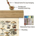 12 16 Inches XIAOAIKA Vintage Mushroom Poster with Wooden Frame - Classic Botanical Print with Variety of Fungi Species