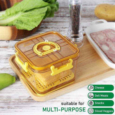 Tellshun Sliced Cheese Container with Airtight Lid for Mini Fridge BPA-Free Kitchen Plastic Storage Deli Cheese Slices