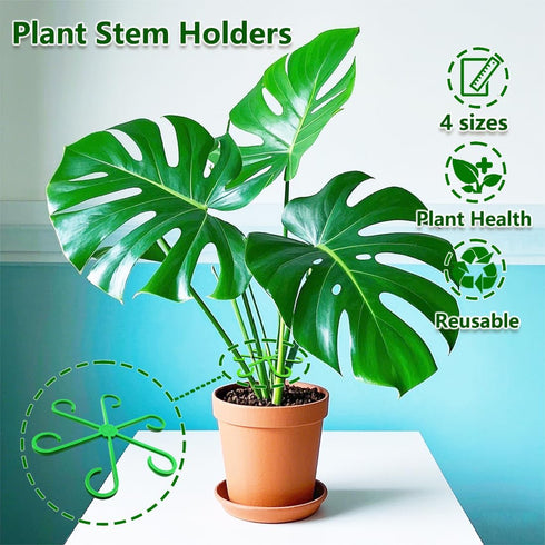 Yiqianhome 8PCS 4 Climbing Plant Stem Supports Sizes, Reusable Plastic Stakes Indoor/Outdoor Garden Flower Growth