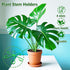 Yiqianhome 8PCS 4 Climbing Plant Stem Supports Sizes, Reusable Plastic Stakes Indoor/Outdoor Garden Flower Growth