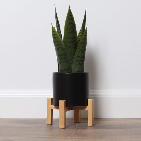 Bornbridge Artificial Snake Plant with Mid Century Plant Stand - Sansevieria Plant