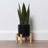 Bornbridge Artificial Snake Plant with Mid Century Plant Stand - Sansevieria Plant