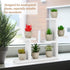 Compact White Wooden Mini Tabletop Plant Stand