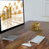 Hilitand Money Frog Toad Decoration, Chinese Feng Shui Wealth Lucky Money Frog Statue for Home Office Decoration