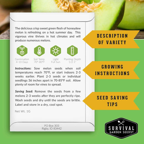 8 Pack Fruit Seeds for Planting - Variety | Watermelon, Cantaloupe, Melon, Strawberry, Ground Cherry for Home Vegetable