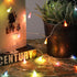 Vigdur Muiticolor Globe String Lights - 2 Packs 6Ft Decorative String Lights