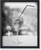 Poster Master Glass of Wine Print - Liquor Poster - Food &