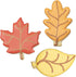 Fall Leaves Cookie Cutters 3-Pc Set by Ann Clark, Made in USA, Maple, Oak, Aspen