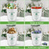 4 Pack 1 Frozen Set cyrico Ice Cream Containers with Silicone Lids for Homemade Ice Cream, Quart Each Reusable Sorbet