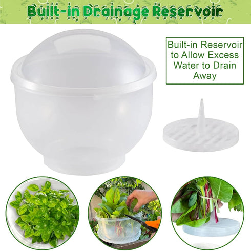 7" 8" Home-X Lettuce Keeper - BPA-Free Lettuce Keeper for Refrigerator to Keep Salads and Vegetables Fresh - x Lettuce