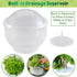 7" 8" Home-X Lettuce Keeper - BPA-Free Lettuce Keeper for Refrigerator to Keep Salads and Vegetables Fresh - x Lettuce
