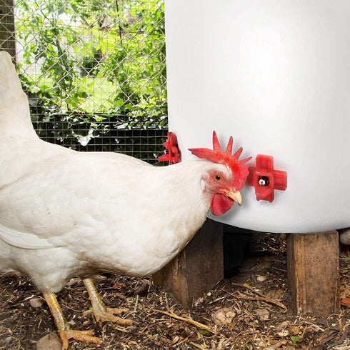 40 Pack Chicken Waterer Nipples - Easy Install Leakproof Poultry Watering System for Chicken Coop, Quail Duck Water