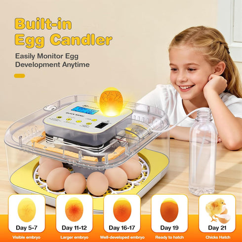 Eggs-12 2026 360 Incubator for Hatching Egg Capacity, Newly Upraded Auto Humidification, Temperature & Humidity