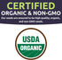 Pack 13 Packs 2026 Organic Cool Weather Spring & Fall Seeds Variety - Individual - Season - Carrots, Beets, Spinach