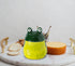 dgudgu Countertop Countertop Frog Salt Cellar With Lid And Spoon Ceramic Salt Container Green Salt Box Cute Salt