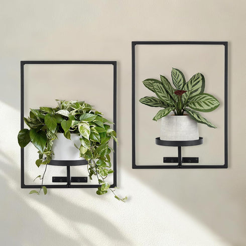 Sisher Plant Stand Indoor Outdoor,Window Plant Shelf Picture Frame Wall Plant Stand