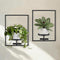 Sisher Plant Stand Indoor Outdoor,Window Plant Shelf Picture Frame Wall Plant Stand