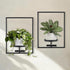 Sisher Plant Stand Indoor Outdoor,Window Plant Shelf Picture Frame Wall Plant Stand