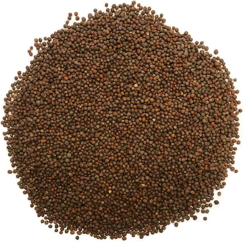 1 lb Broccoli Sprouting Seeds - Perfect for Sprouting & Microgreens, Rich in Sulforaphane, USA Grown (Resealable Bag)