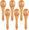 6 Pcs Small Wooden Spoons, 3.7 Inch Tiny Spoons for Spices, Mini Wooden Condiment Spoons for Sauces, Salt, Sugar